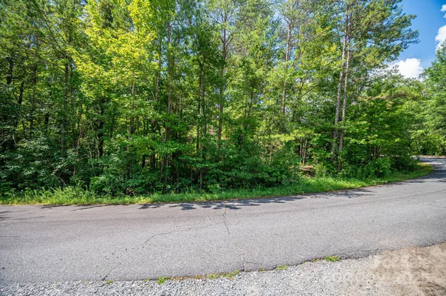 a view of a road with trees in the background