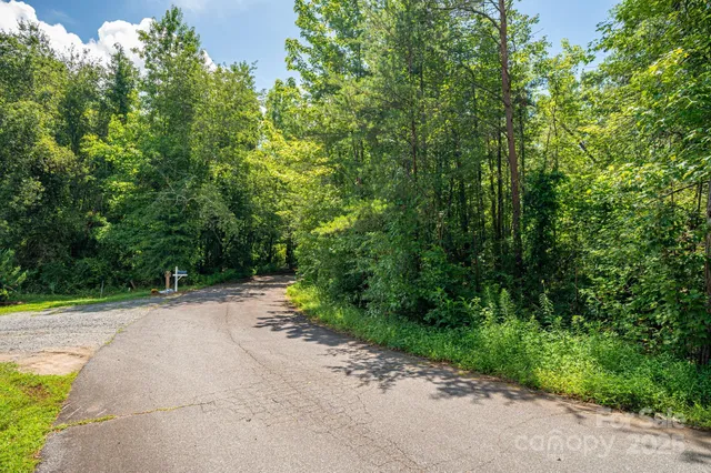 a view of a road with a trees