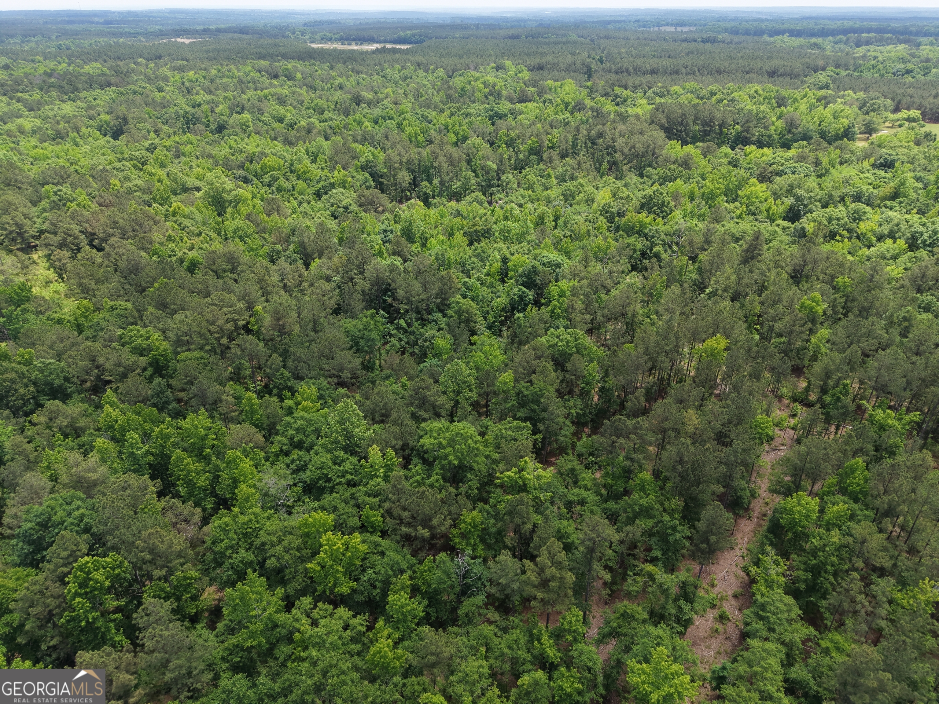 715 Fulsome Creek Road Sparta, GA 31087 - Photo 29 of 117