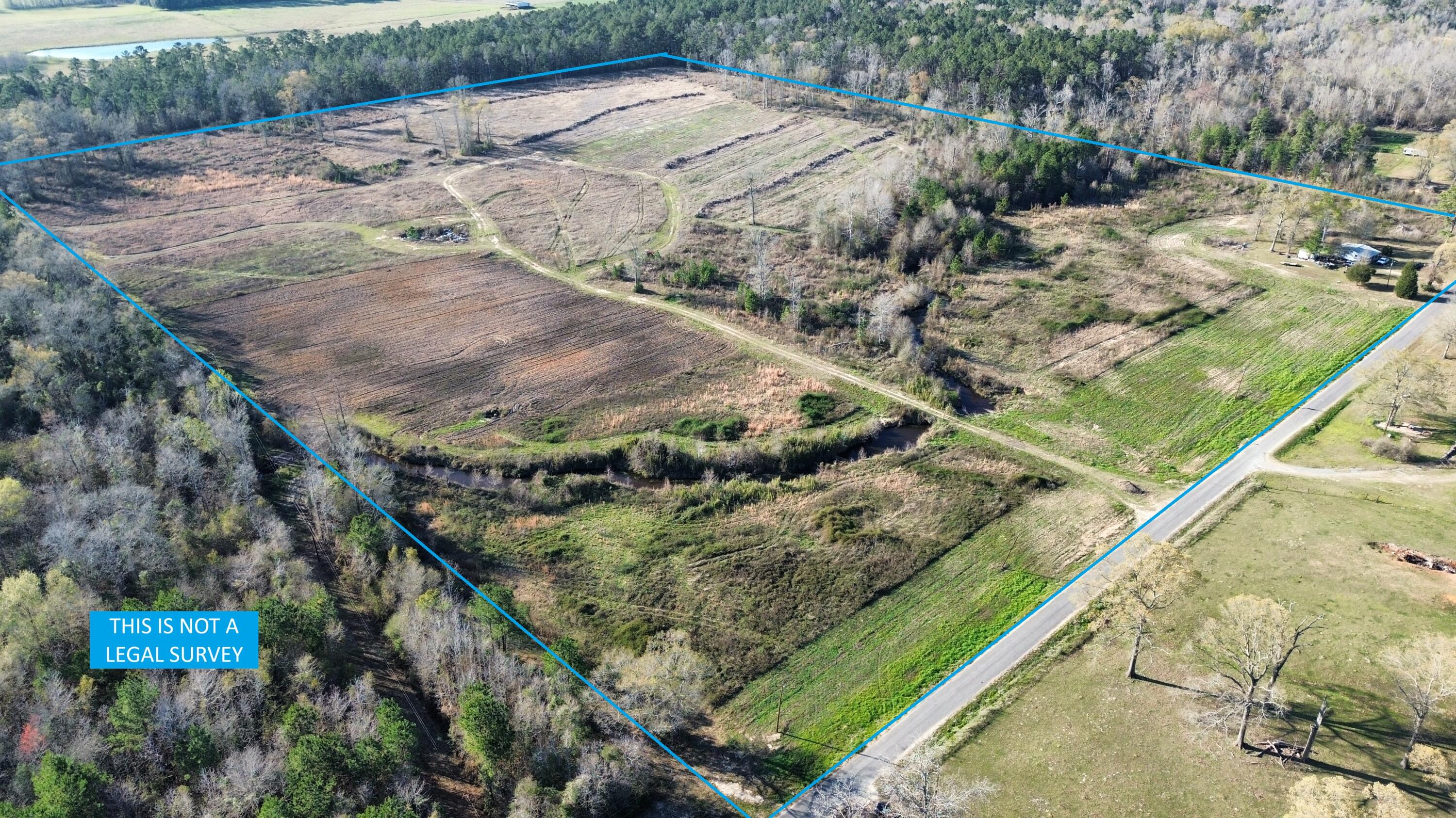 471 Farley Green Road Deridder, LA 70634 - Photo 3 of 16 Gallery Image 3