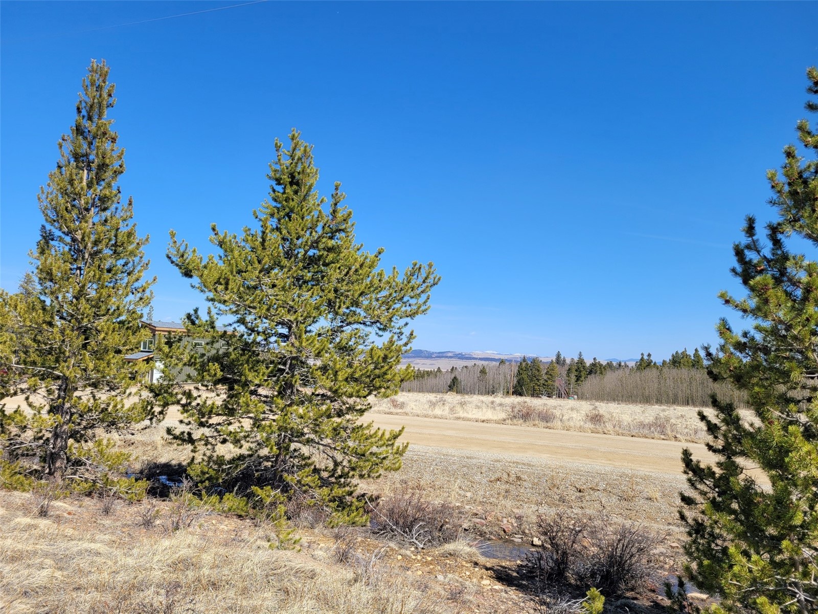 395 Wild Rye Road Fairplay, CO 80440 - Photo 10 of 20 Gallery Image 10