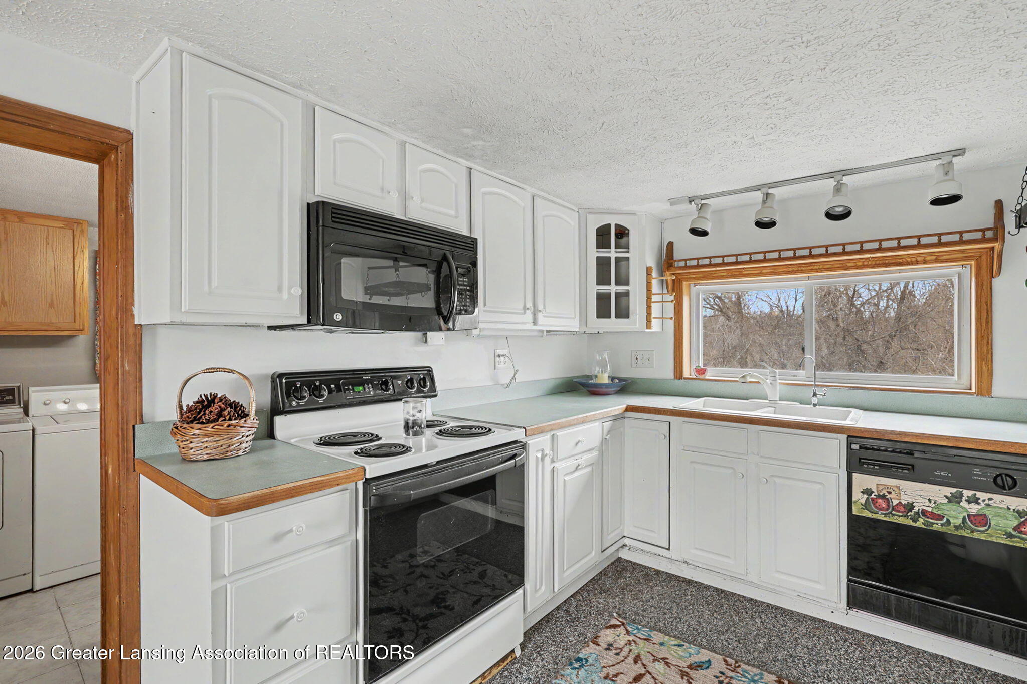 339 Dexter Road Eaton Rapids, MI 48827 - Photo 14 of 34 15-web-or-mls-CQ1A2027