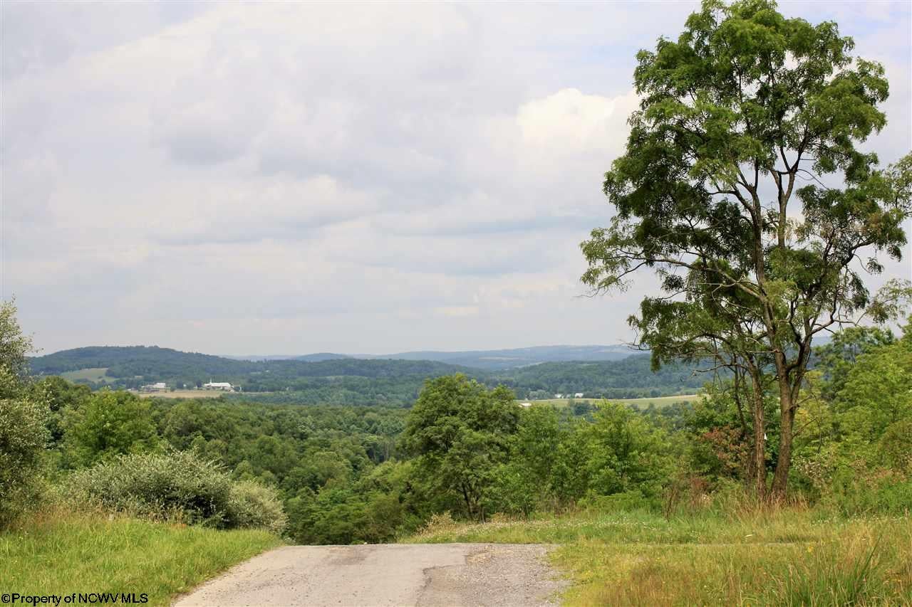0 Sugar Valley Road Albright, WV 26519 - Photo 1 of 17 Gallery Image 1