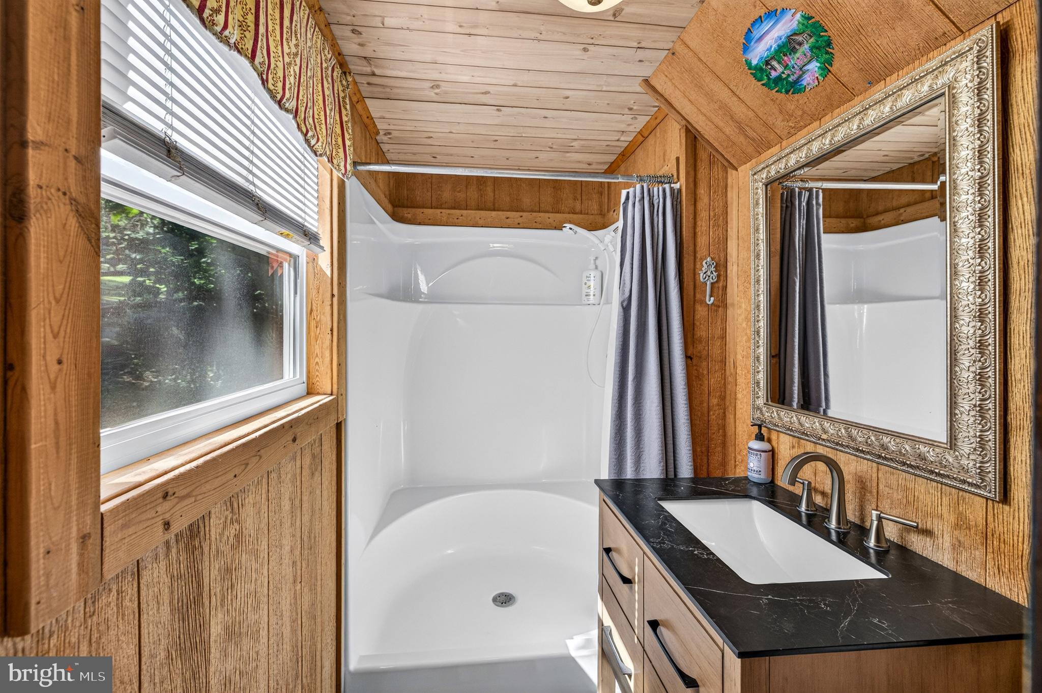 707 Overlook Drive Rileyville, VA 22650 - Photo 35 of 94