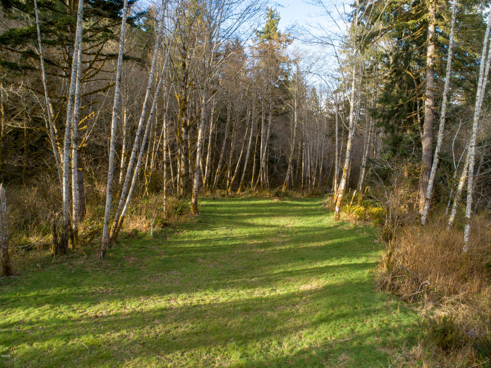 2 Olalla Road Toledo, OR 97391 - Photo 14 of 14 Olalla Road Toledo (14)