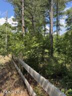 244 Rascob Road Sanford, NC 27330 - Photo 6 of 11 photo3
