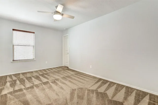 a bathroom with a sink and a shower