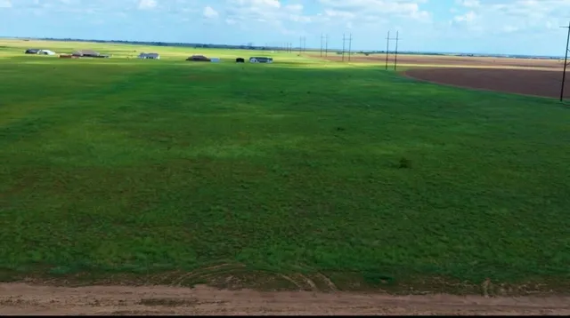 a view of a field of grass and trees