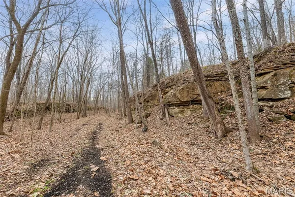 $4,299,000 | 13285 Highway 45, New Burnside, IL 62967