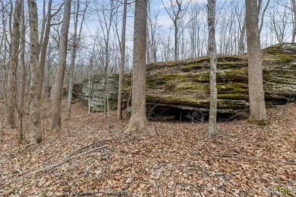 $4,299,000 | 13285 Highway 45, New Burnside, IL 62967