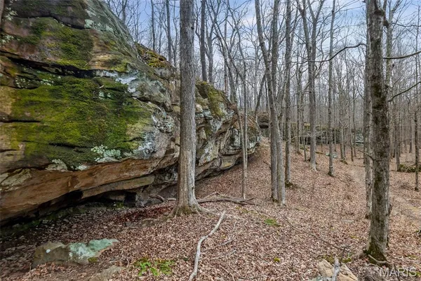 $4,299,000 | 13285 Highway 45, New Burnside, IL 62967