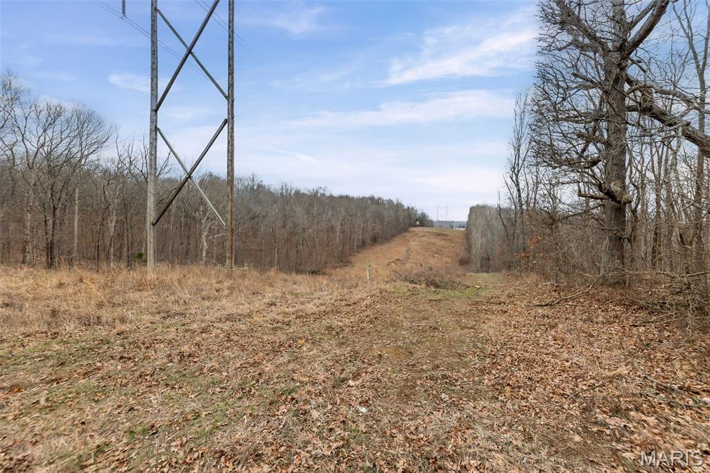 13285 Highway 45 New Burnside, IL 62967 - Photo 22 of 99