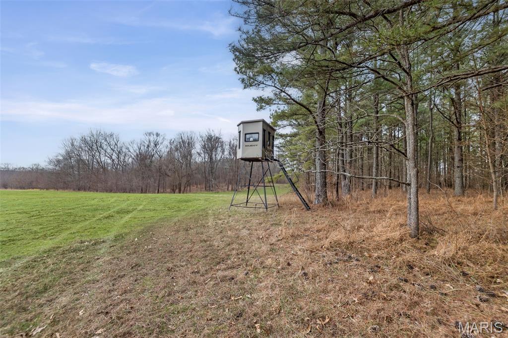 13285 Highway 45 New Burnside, IL 62967 - Photo 24 of 99
