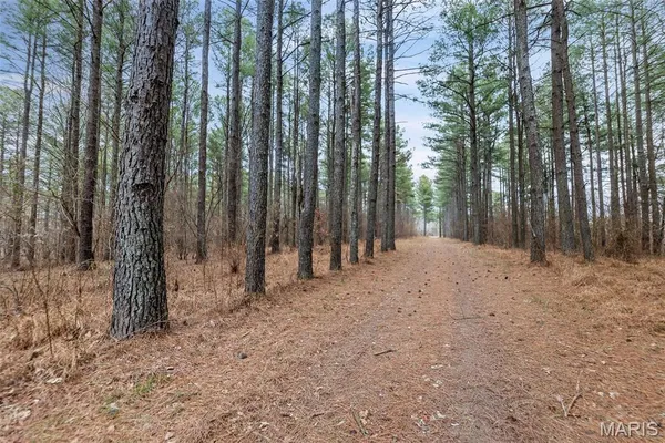 $4,299,000 | 13285 Highway 45, New Burnside, IL 62967