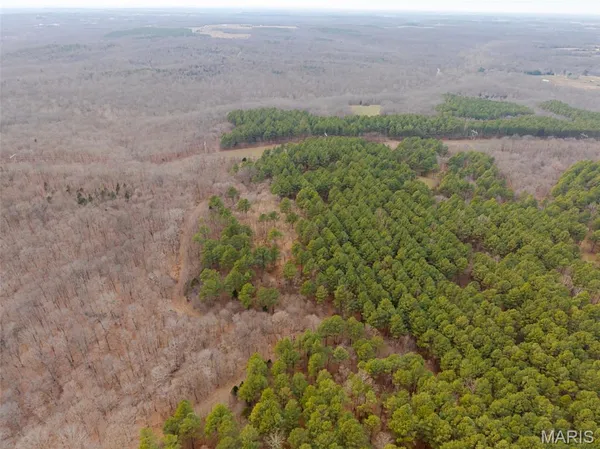 $4,299,000 | 13285 Highway 45, New Burnside, IL 62967