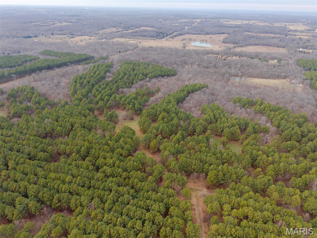 13285 Highway 45 New Burnside, IL 62967 - Photo 55 of 99