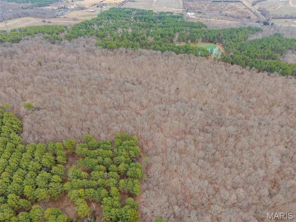 $4,299,000 | 13285 Highway 45, New Burnside, IL 62967