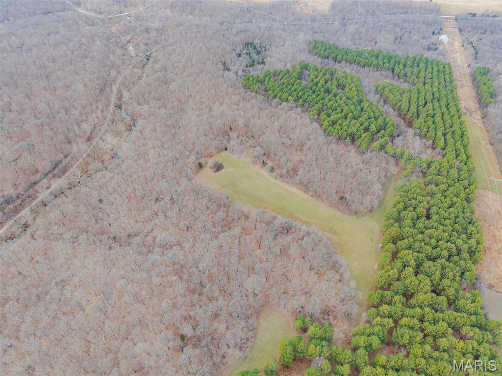 13285 Highway 45 New Burnside, IL 62967 - Photo 60 of 99