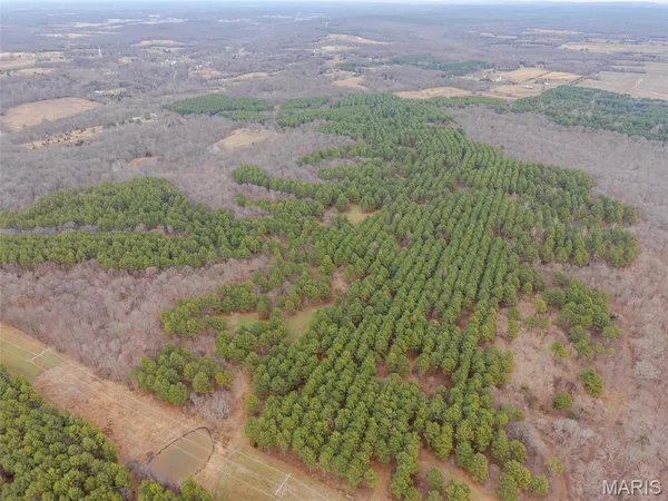 $4,299,000 | 13285 Highway 45, New Burnside, IL 62967