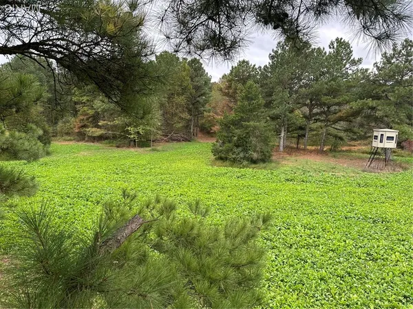 $4,299,000 | 13285 Highway 45, New Burnside, IL 62967