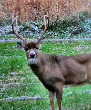 $4,299,000 | 13285 Highway 45, New Burnside, IL 62967