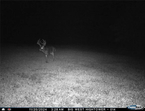 $4,299,000 | 13285 Highway 45, New Burnside, IL 62967