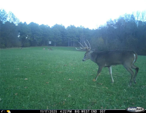 $4,299,000 | 13285 Highway 45, New Burnside, IL 62967