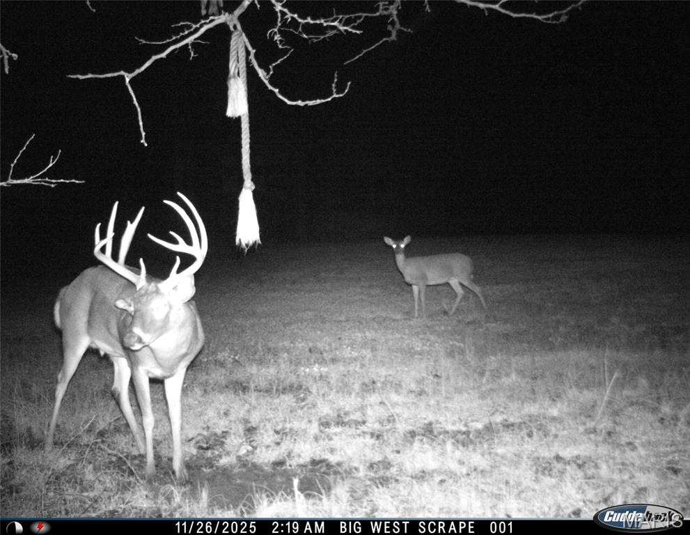 13285 Highway 45 New Burnside, IL 62967 - Photo 72 of 99