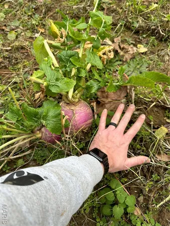 $4,299,000 | 13285 Highway 45, New Burnside, IL 62967