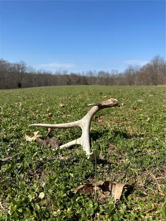 $4,299,000 | 13285 Highway 45, New Burnside, IL 62967