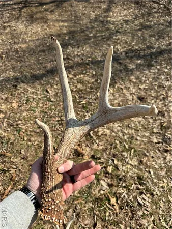 $4,299,000 | 13285 Highway 45, New Burnside, IL 62967