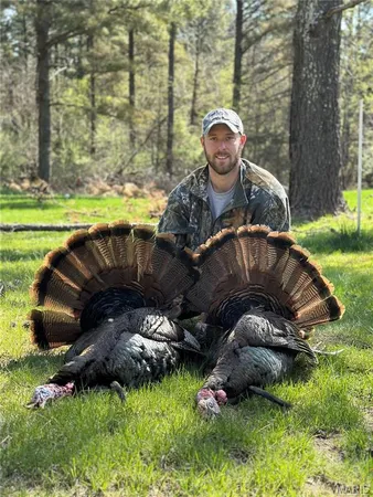 $4,299,000 | 13285 Highway 45, New Burnside, IL 62967