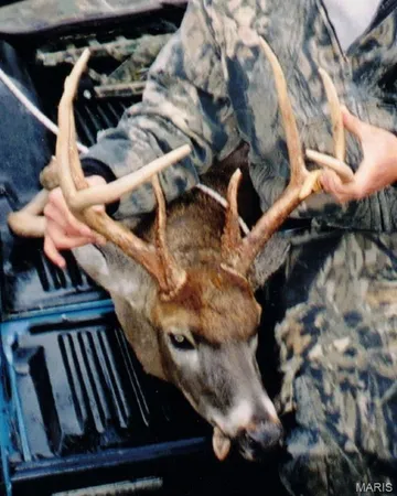 $4,299,000 | 13285 Highway 45, New Burnside, IL 62967