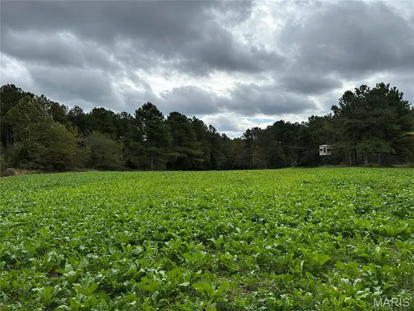 $4,299,000 | 13285 Highway 45, New Burnside, IL 62967