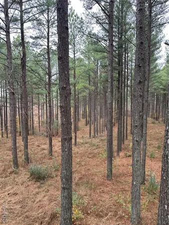 $4,299,000 | 13285 Highway 45, New Burnside, IL 62967