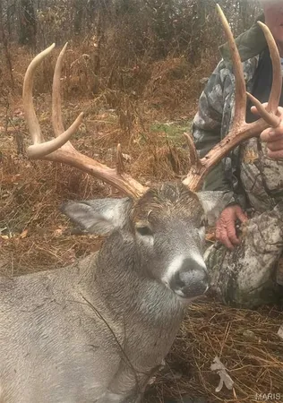 $4,299,000 | 13285 Highway 45, New Burnside, IL 62967