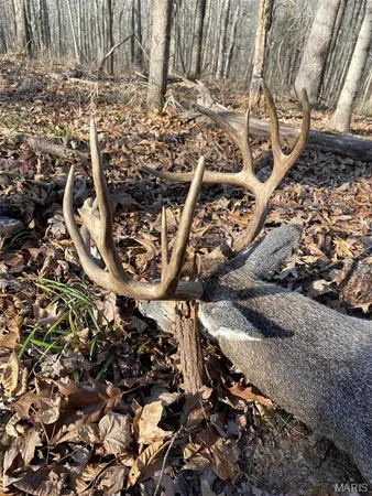 $4,299,000 | 13285 Highway 45, New Burnside, IL 62967