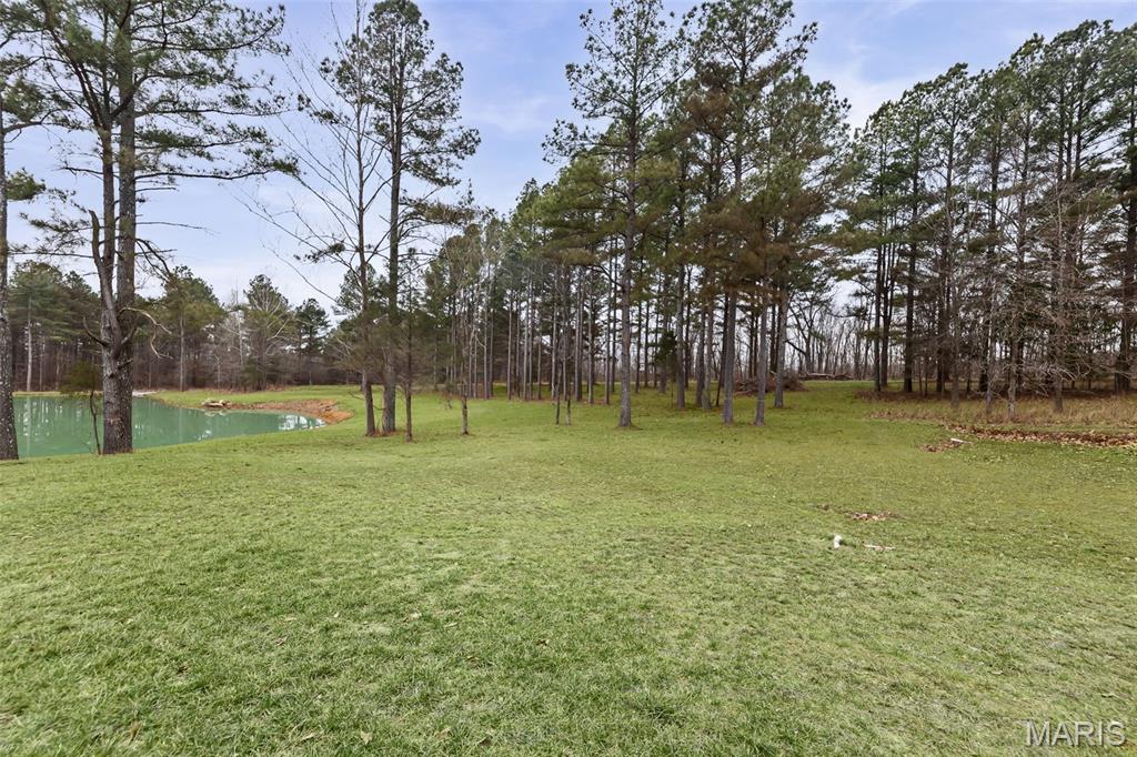 13285 Highway 45 New Burnside, IL 62967 - Photo 9 of 99