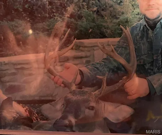 $4,299,000 | 13285 Highway 45, New Burnside, IL 62967