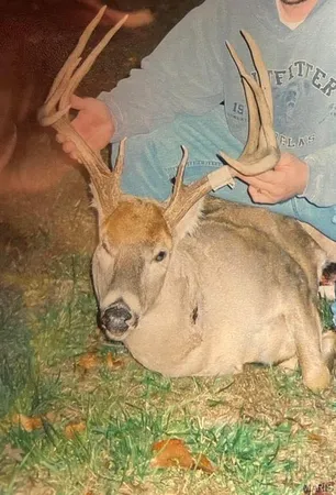 $4,299,000 | 13285 Highway 45, New Burnside, IL 62967