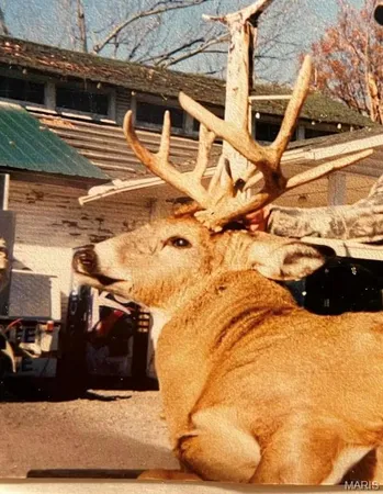 $4,299,000 | 13285 Highway 45, New Burnside, IL 62967