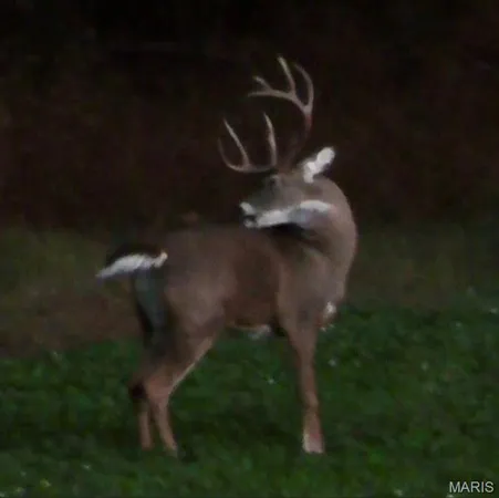 $4,299,000 | 13285 Highway 45, New Burnside, IL 62967