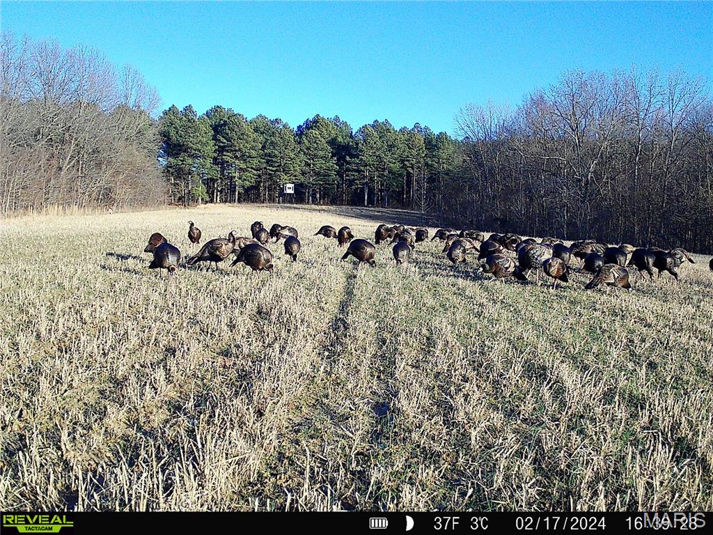 13285 Highway 45 New Burnside, IL 62967 - Photo 98 of 99