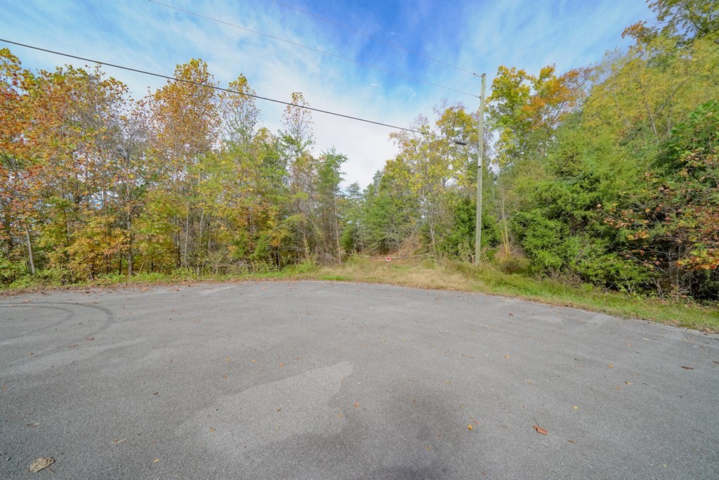 0 Lot 19 Maurice Road Sevierville, TN 37876 - Photo 2 of 21 a view of a field with trees in the background