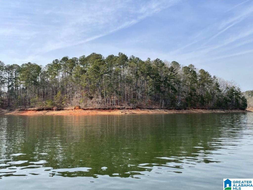 897 County Road, Unit 6 Wedowee, AL 36278 - Photo 1 of 6