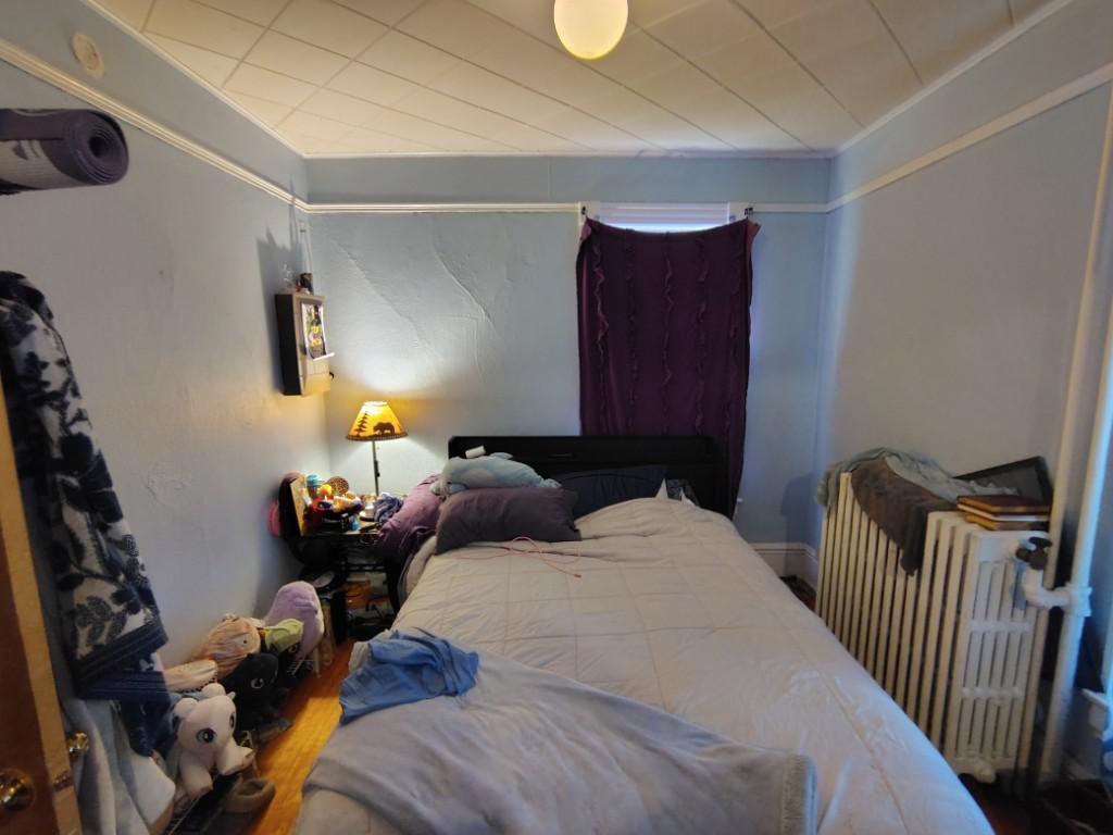 1520 East 3rd Street Duluth, MN 55812 - Photo 14 of 24