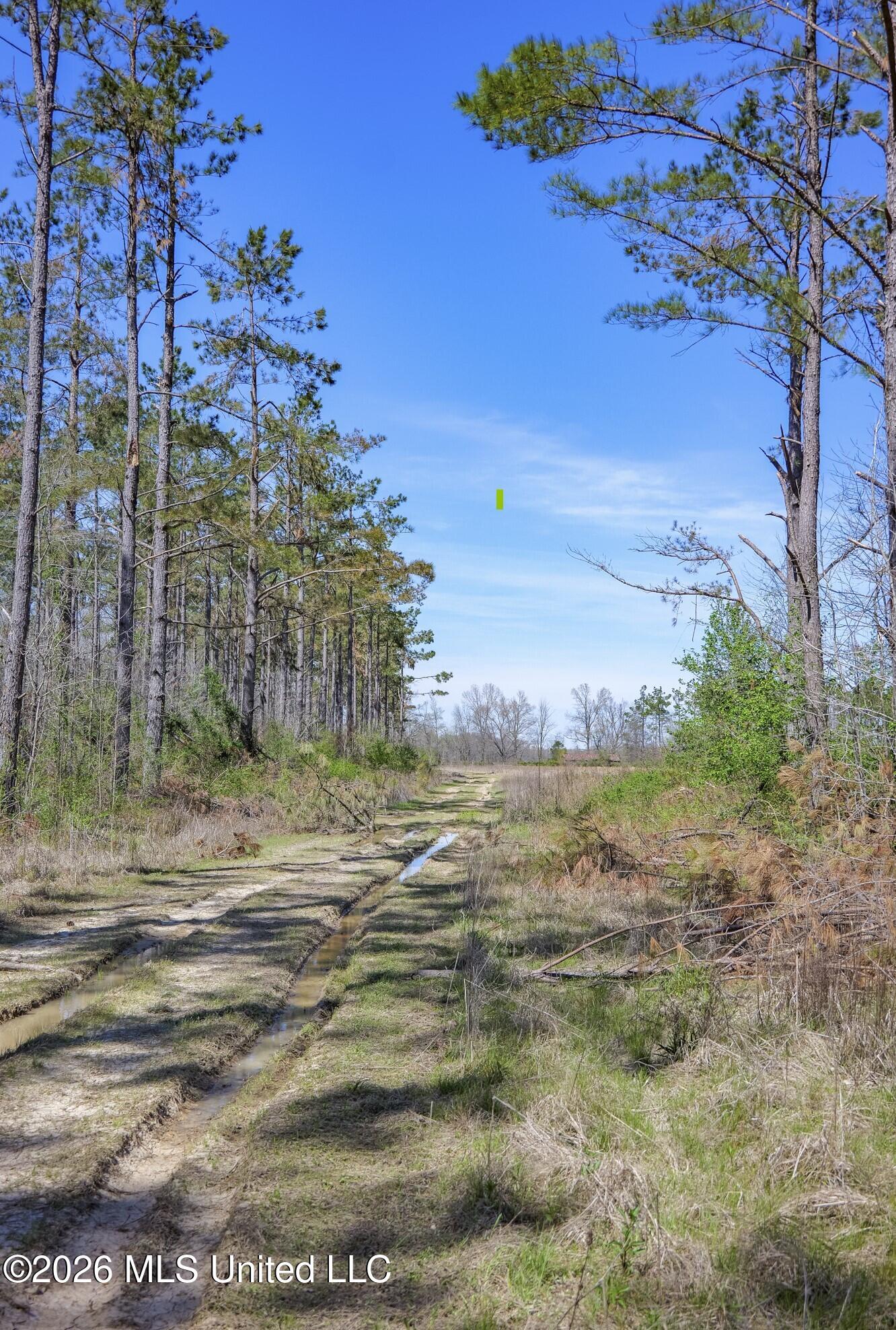 Wise Bend Road Thaxton, MS 38871 - Photo 22 of 22 1