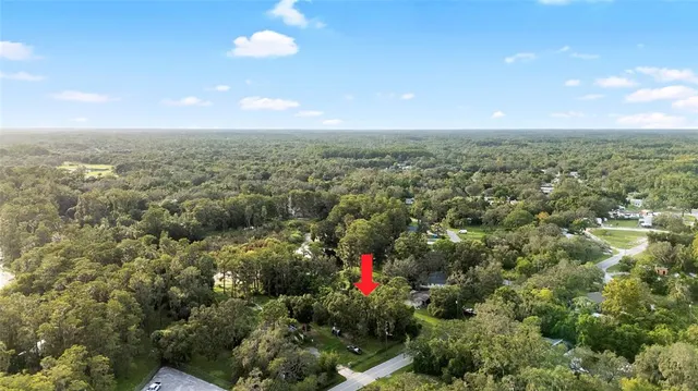 a view of a yard with a tree