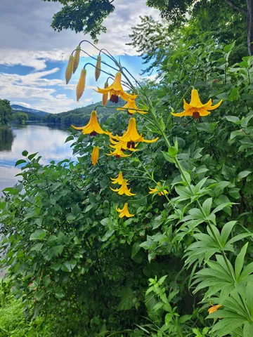 $280,000 | 1359 Highway 2, Rumford, ME 04276