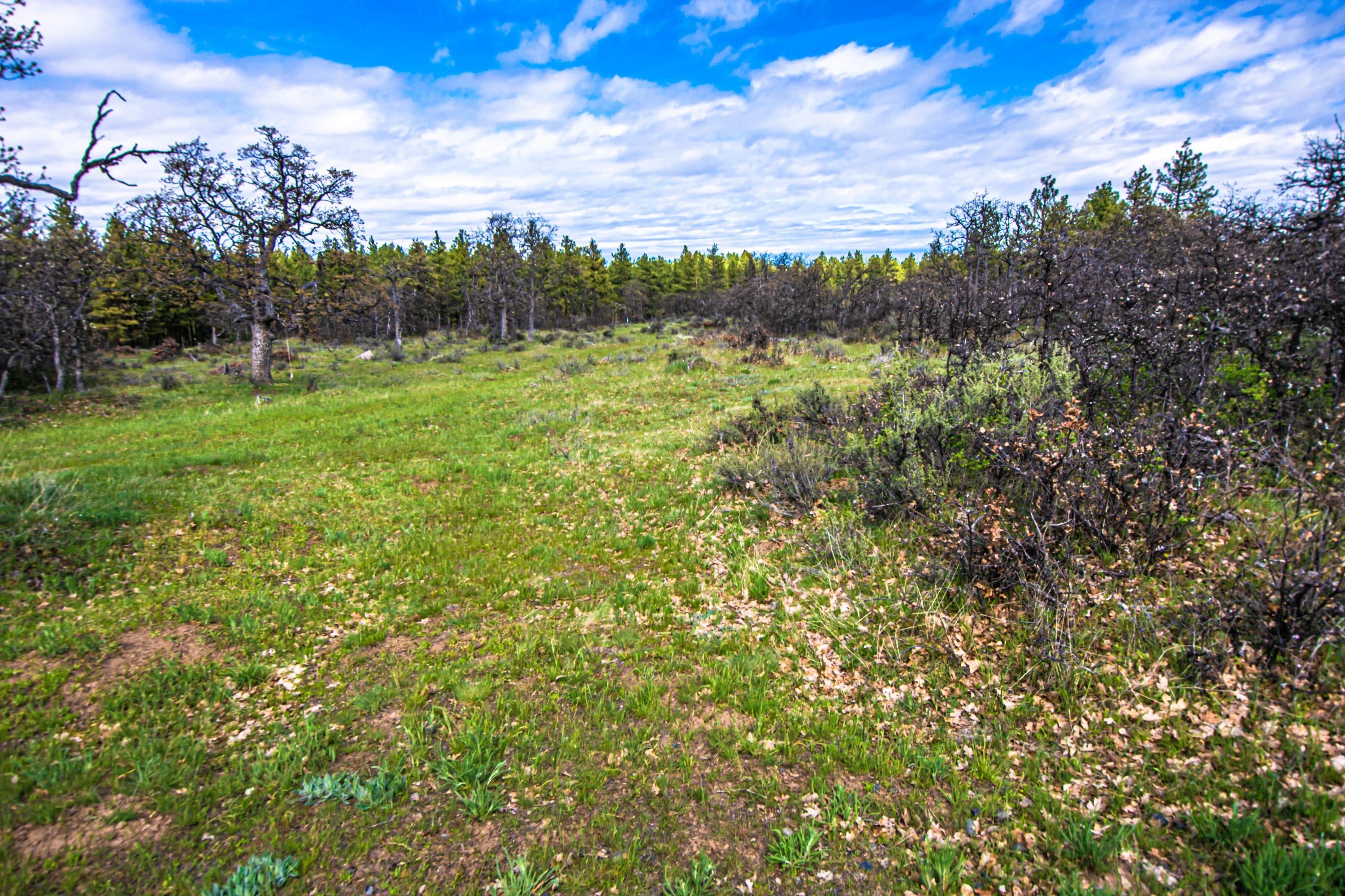 200 Jewell Road The Dalles, OR 97058 - Photo 5 of 25 WC - 5